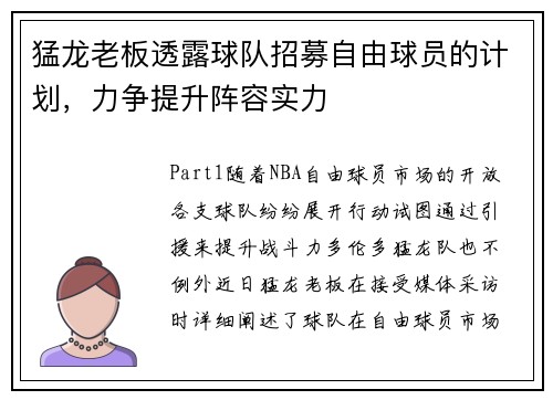 猛龙老板透露球队招募自由球员的计划，力争提升阵容实力